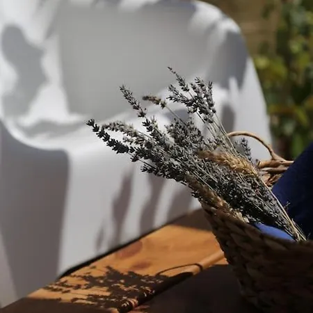 Csöppház Casa vacanze Balatonkenese