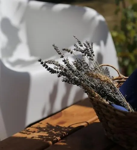 Csoepphaz Ferienhaus Balatonkenese