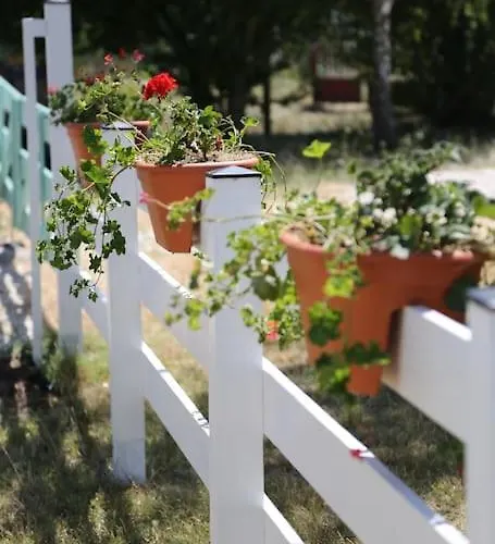 Csoepphaz Vakantiehuis Balatonkenese